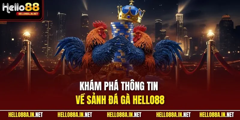 Khám phá thông tin về sảnh đá gà HELLO88